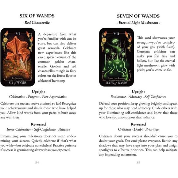 Midnight Magic Mushroom Tarot Deck and Guidebook - Picture 4 of 6